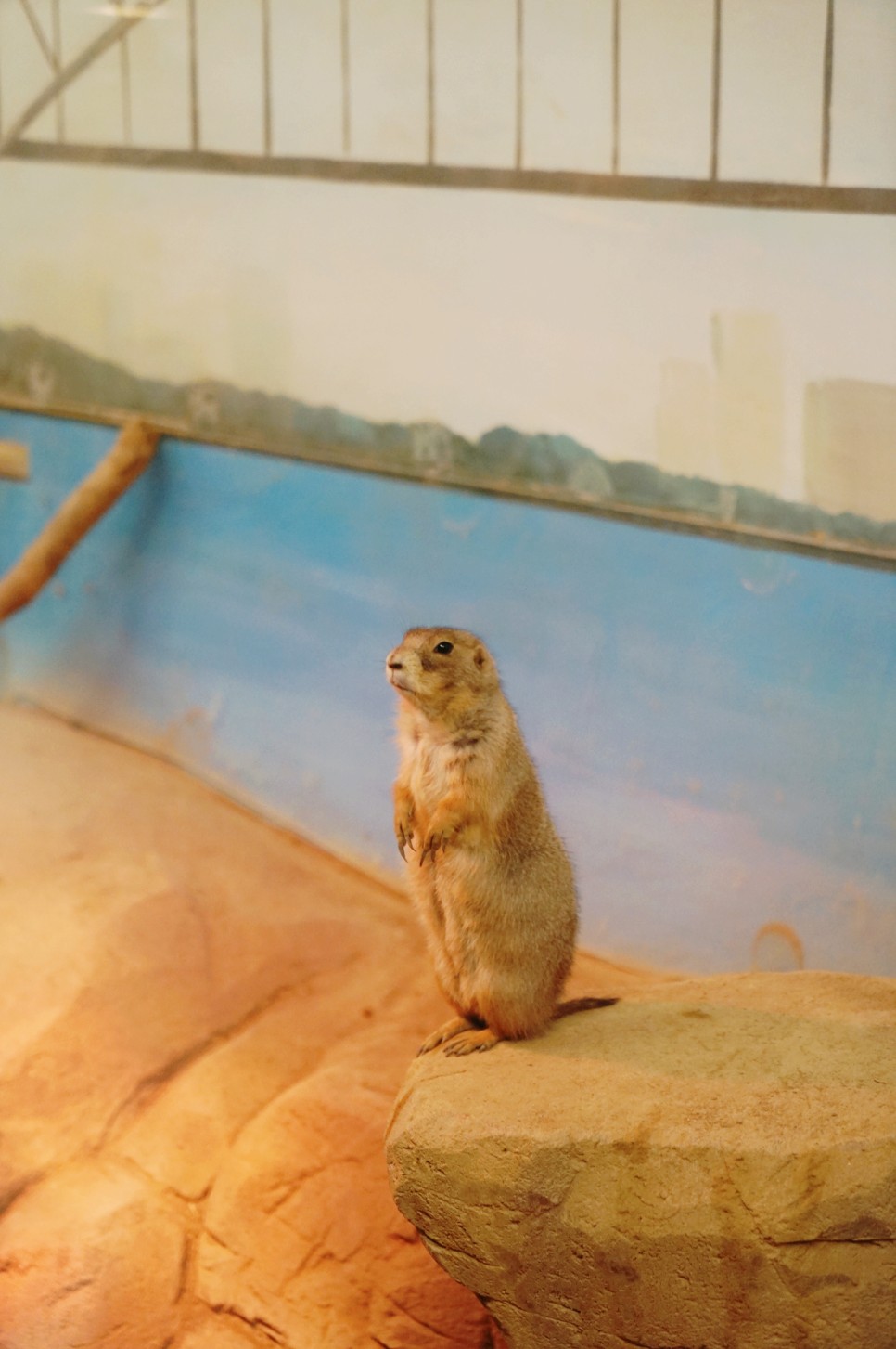 33