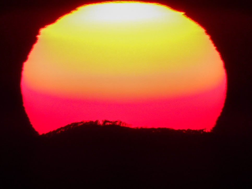 2cf37505-df58-52e5-a57e-e0dacb27f3ce-0