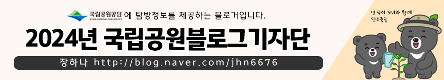 2f8f4c86-32e4-5084-aedf-789a03755cbe-11