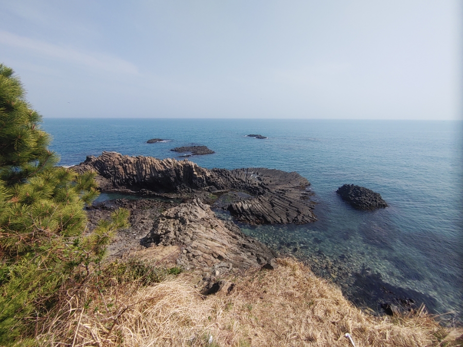 05cf686c-66f5-5f18-b7c5-77bcdf944615-65