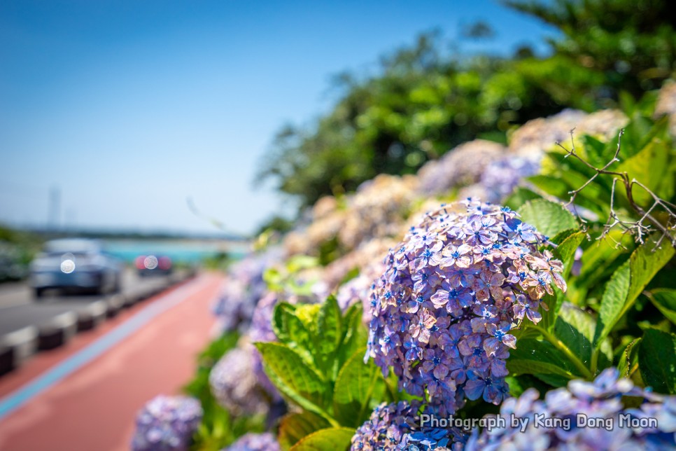 38858a6d-48c1-579b-a4fd-f776412350f9-24