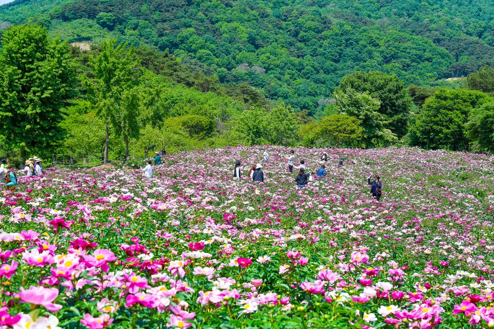 fd067983-f20b-5a93-8c9f-b91f41b66fea-21