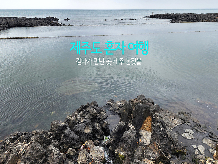 77679df5-f3fe-56ab-a0c7-7798af287d79-26