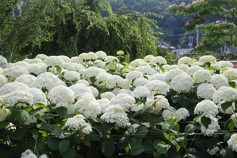 1c50d2a0-00a4-5712-af24-ecdcdb28b1e8-32