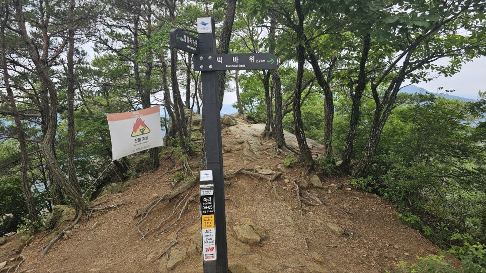 8682616c-f2f3-5cf1-bcf9-93d606f503ae-14