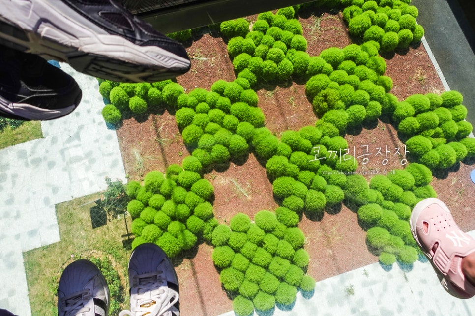 44