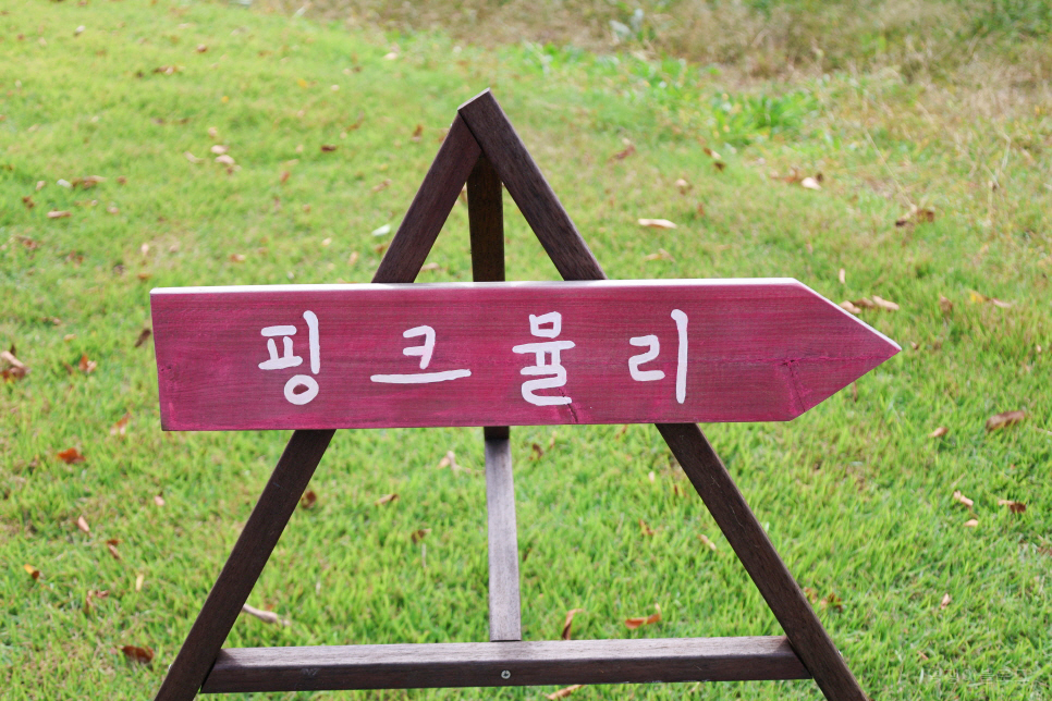3867a762-2853-53dd-93e2-75689006f1dc-2