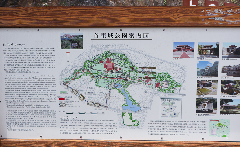 d7d5dc49-bfa4-579b-918a-bfbaa7667cea-11
