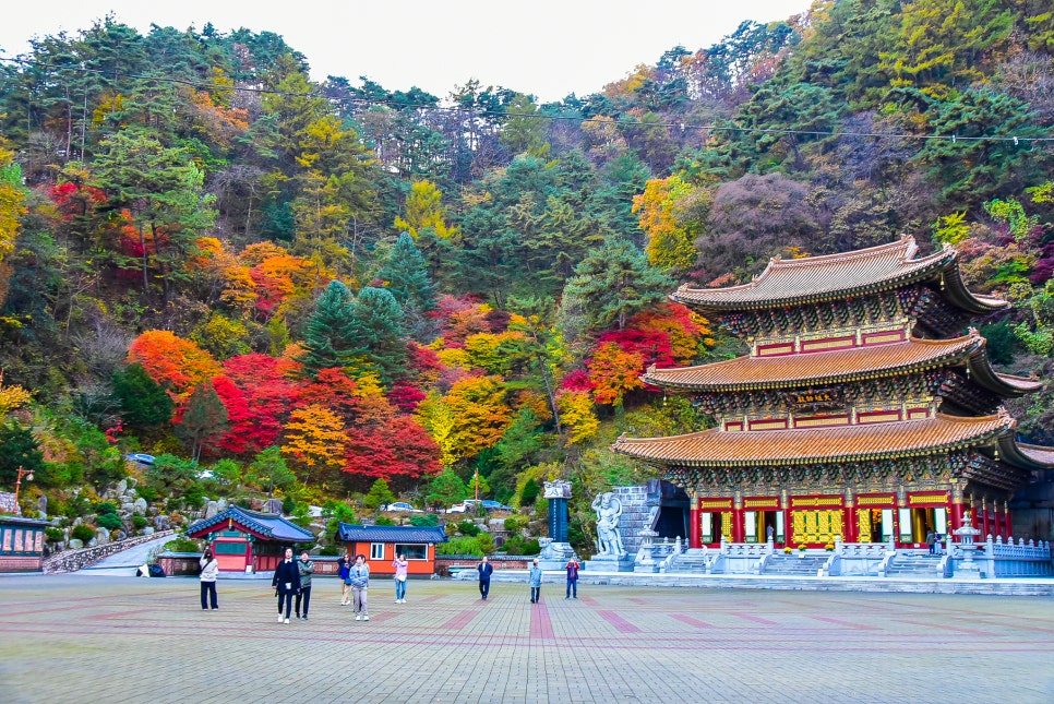 1a4963a8-d985-50a1-82d0-df2b7afe4f44-9