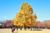bd7b145d-43c4-5969-ad15-b4467b2a361b-21