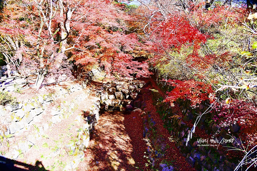 469383cc-5f4a-58c7-aa3d-cb00d471afde-36