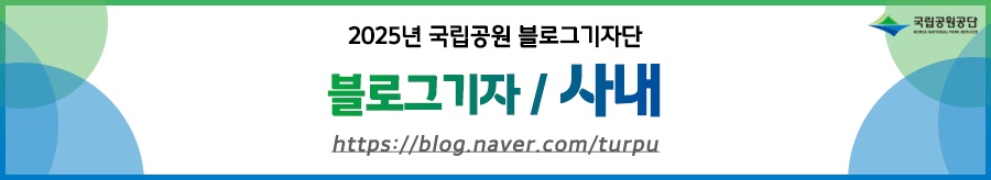 d29cc1f1-b70b-54a7-8371-617d98c1fb4f-3