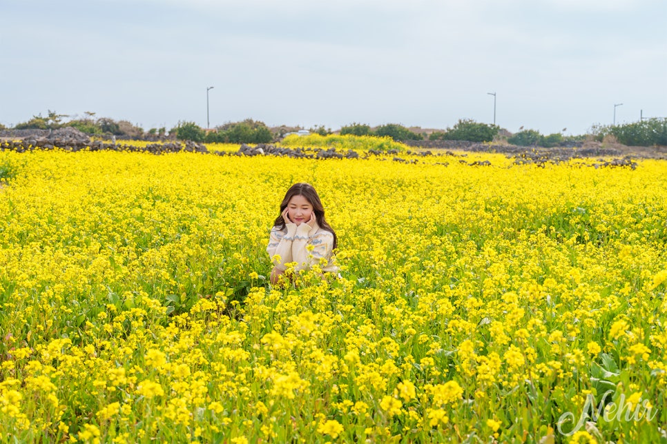 077c444b-231c-5be2-b6db-a54d87c73b3b-26