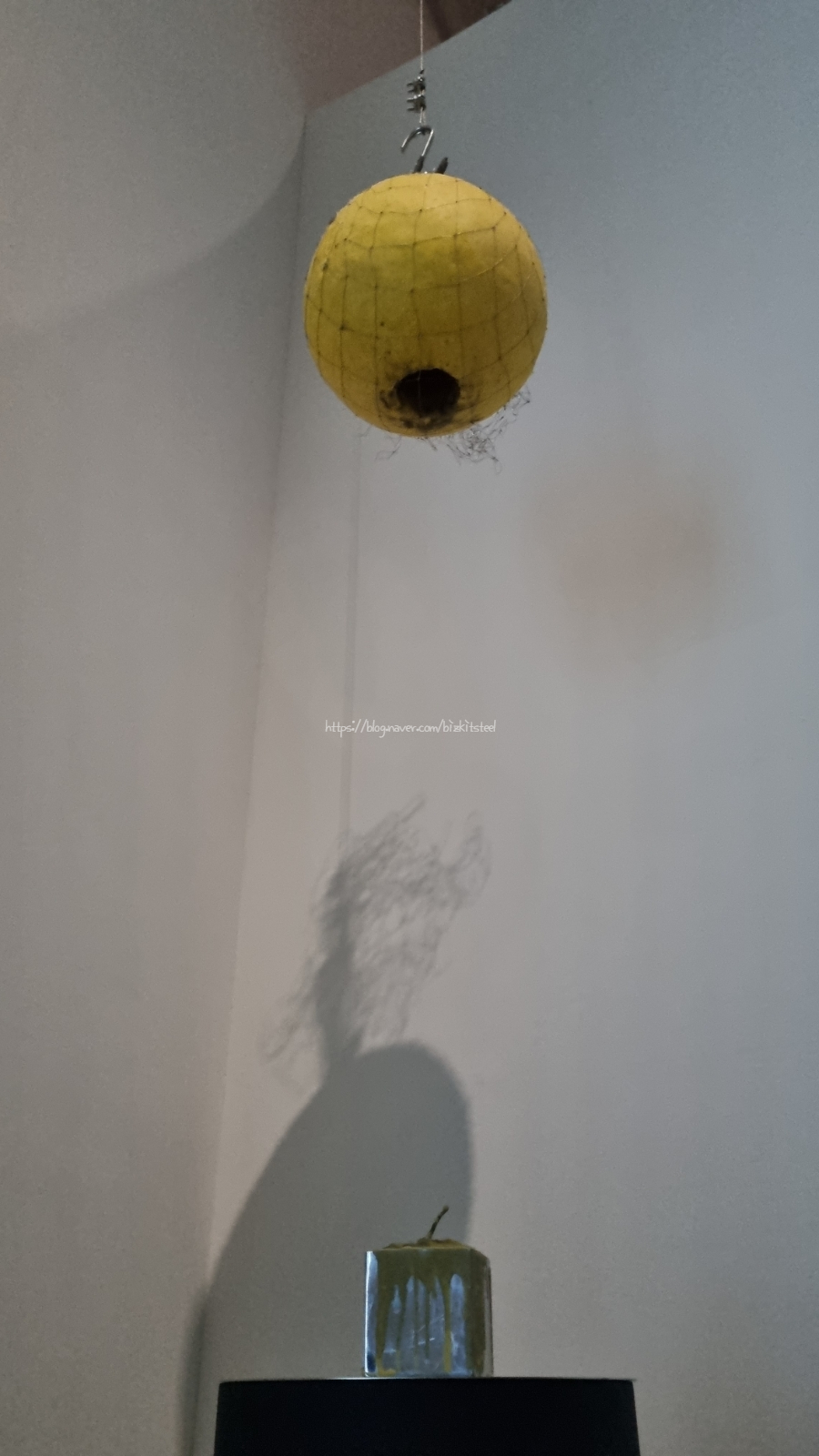 acc1f1e9-6c70-5630-942f-ff6366a5f1b5-21