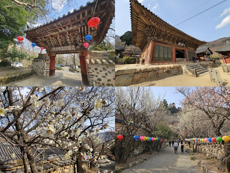 조계산 도립공원 - 1