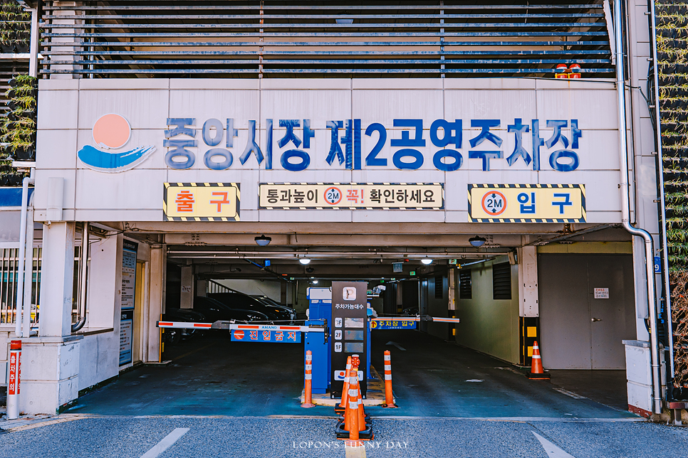 7e6208dc-8d14-5ef4-ab60-0dcc266d079f-5