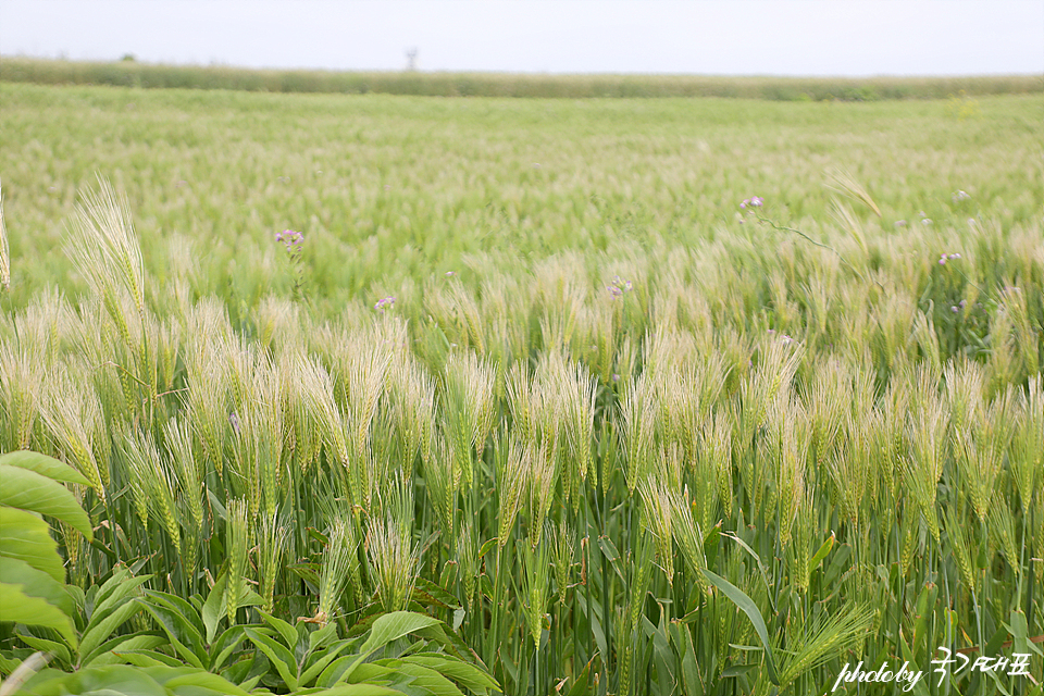 3e82463d-8c1b-5646-aa59-1f80b816bded-9
