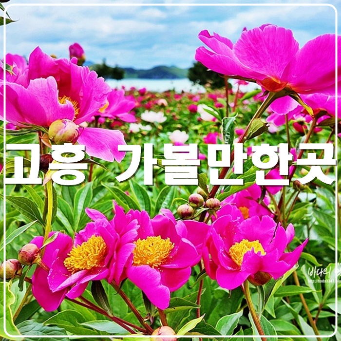 ad53639c-440d-5416-8169-24fdaf52dba7-1