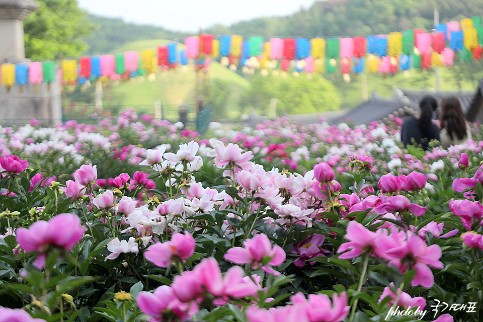 37076db5-eb4d-513b-9a61-69dc2fd4f94b-0