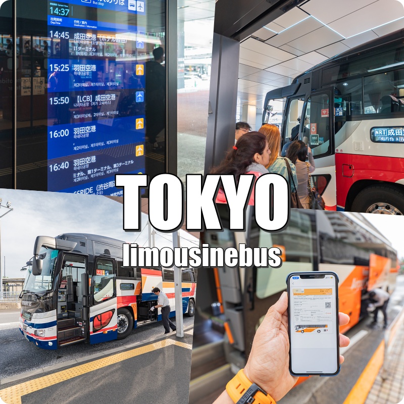 507ec44b-d8b9-50ec-962c-805acca88880-13