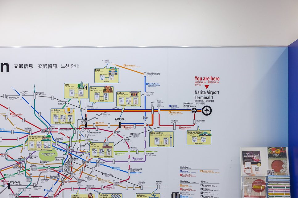 7ec0fce7-3feb-5f0a-8dc7-bac564f2affd-10