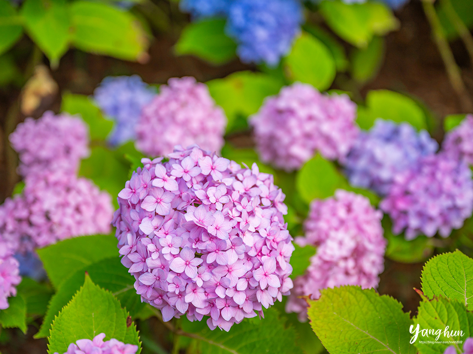 0228fd4c-1d57-555b-82d4-baf660c12eb4-10