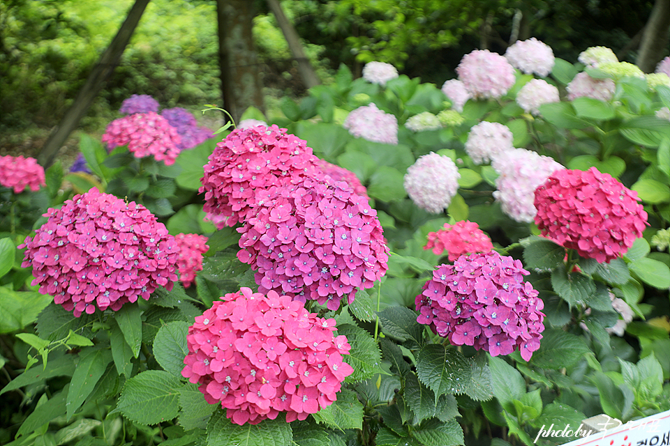29695b8f-24ba-5052-bd69-80ed935ddcde-19