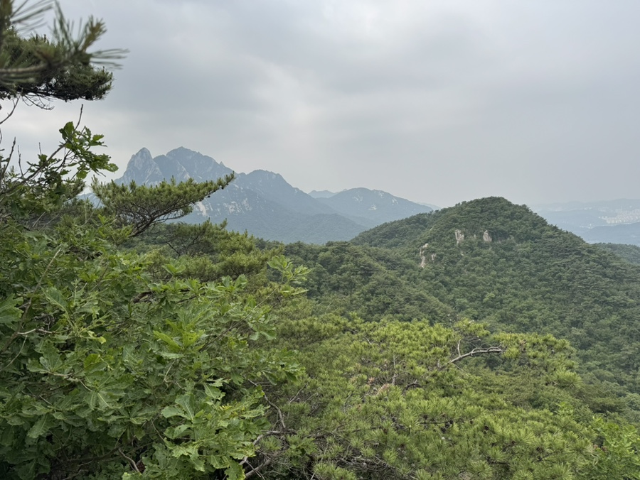 5d236b60-9708-592d-9803-73eb06d0c94f-8
