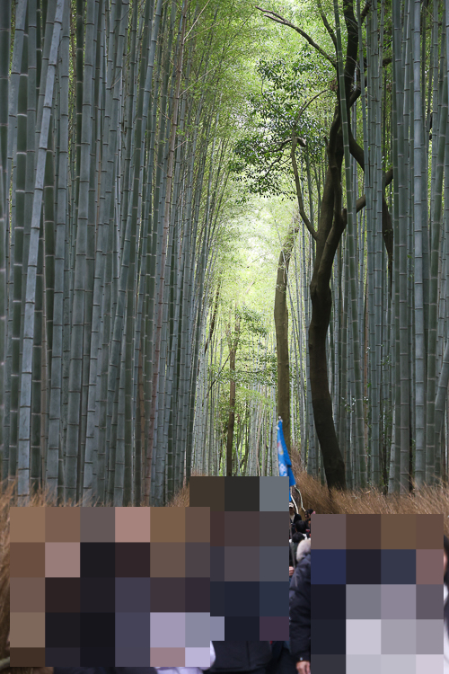 7881fbde-294c-5d89-8f2e-e62812a1c93b-4