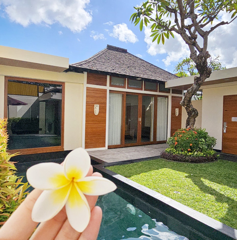 c4392ac1-9382-5e36-bc21-64e7026d7a6c-35
