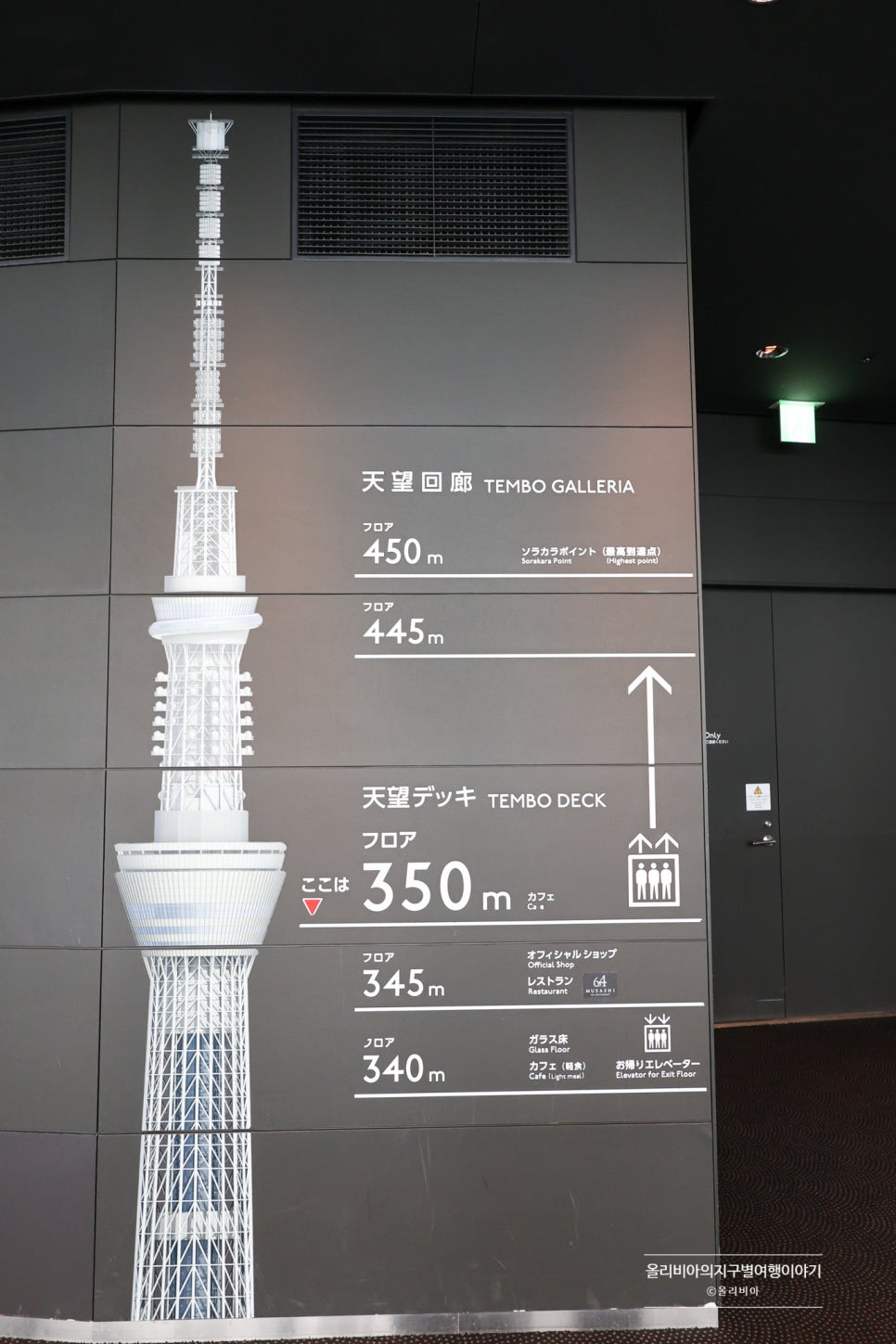 6542707c-4cc1-5fef-8e68-ea39f3fa7b82-3