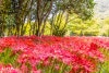 79506f82-fb36-5d74-81e7-d0fa7c4b3264-8
