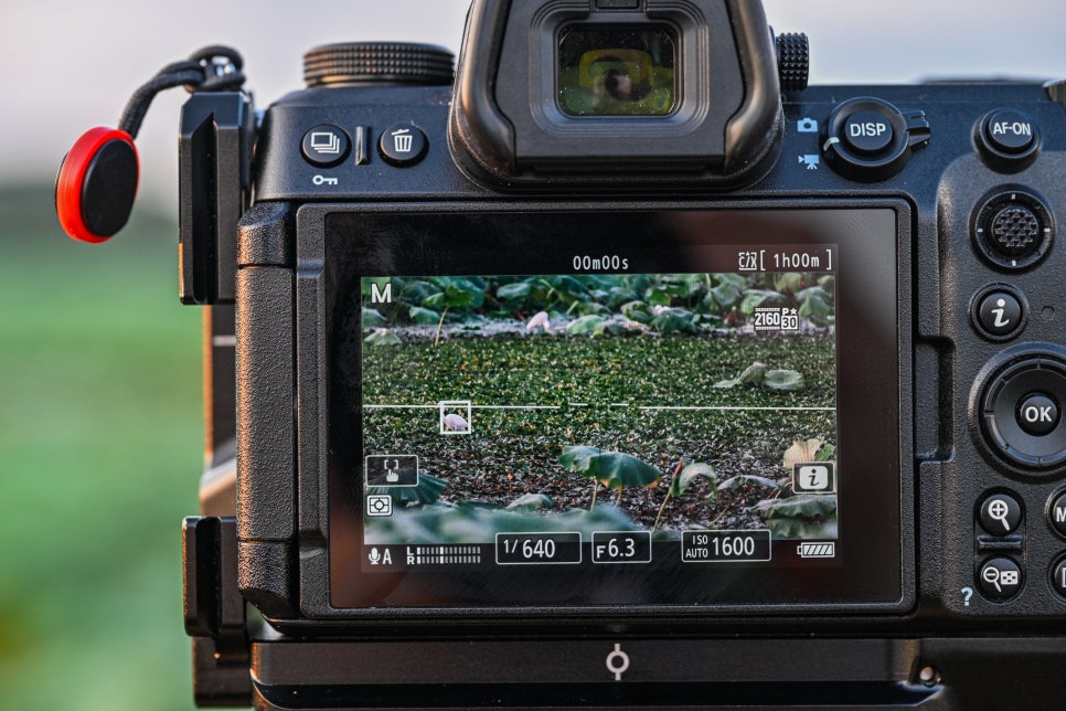 19