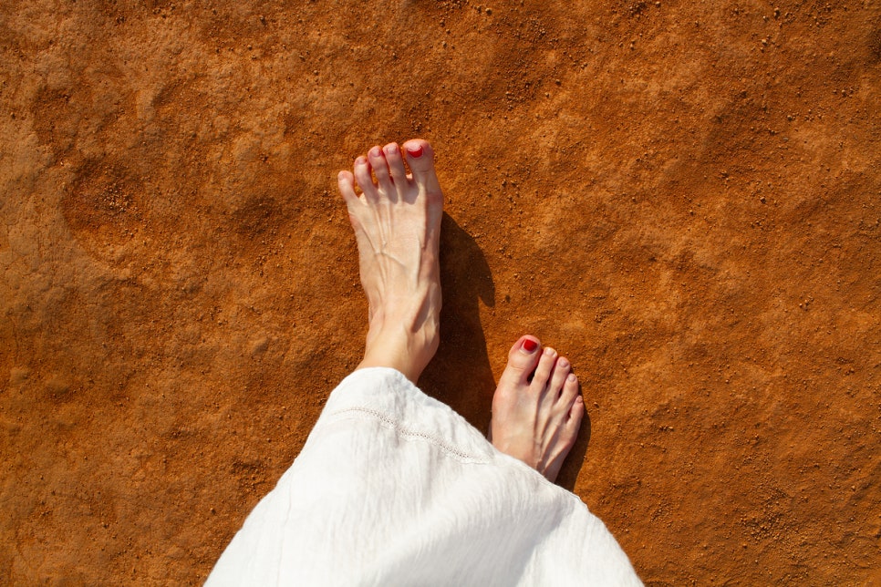 26