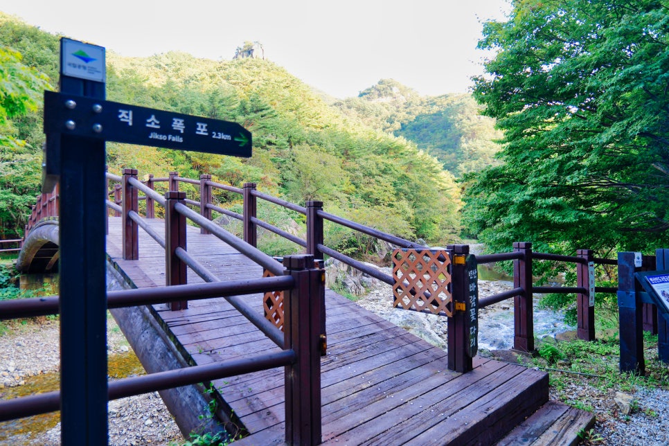 157ac6c8-4836-58ae-870a-68ca34b4230d-13
