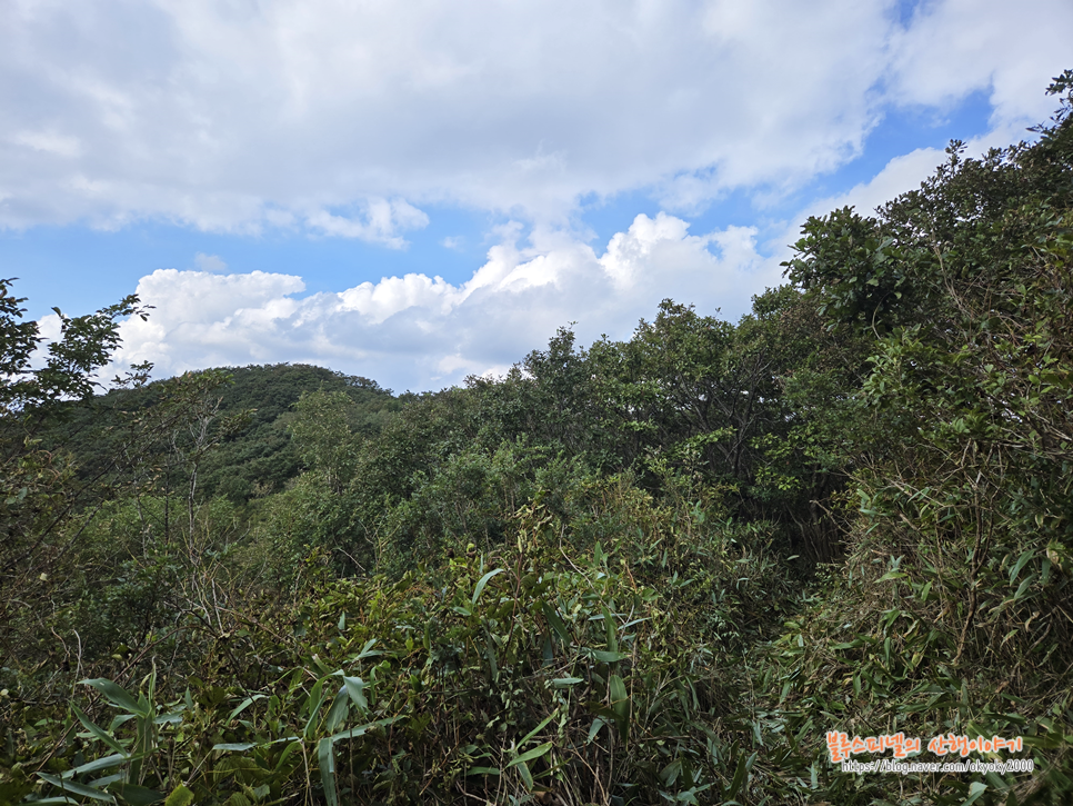 b18596d3-6912-558b-909d-e774ed03cdac-16
