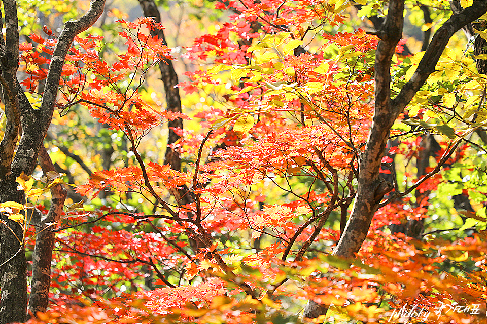 8e72a398-a66c-5453-b7ef-75238f1e7452-24
