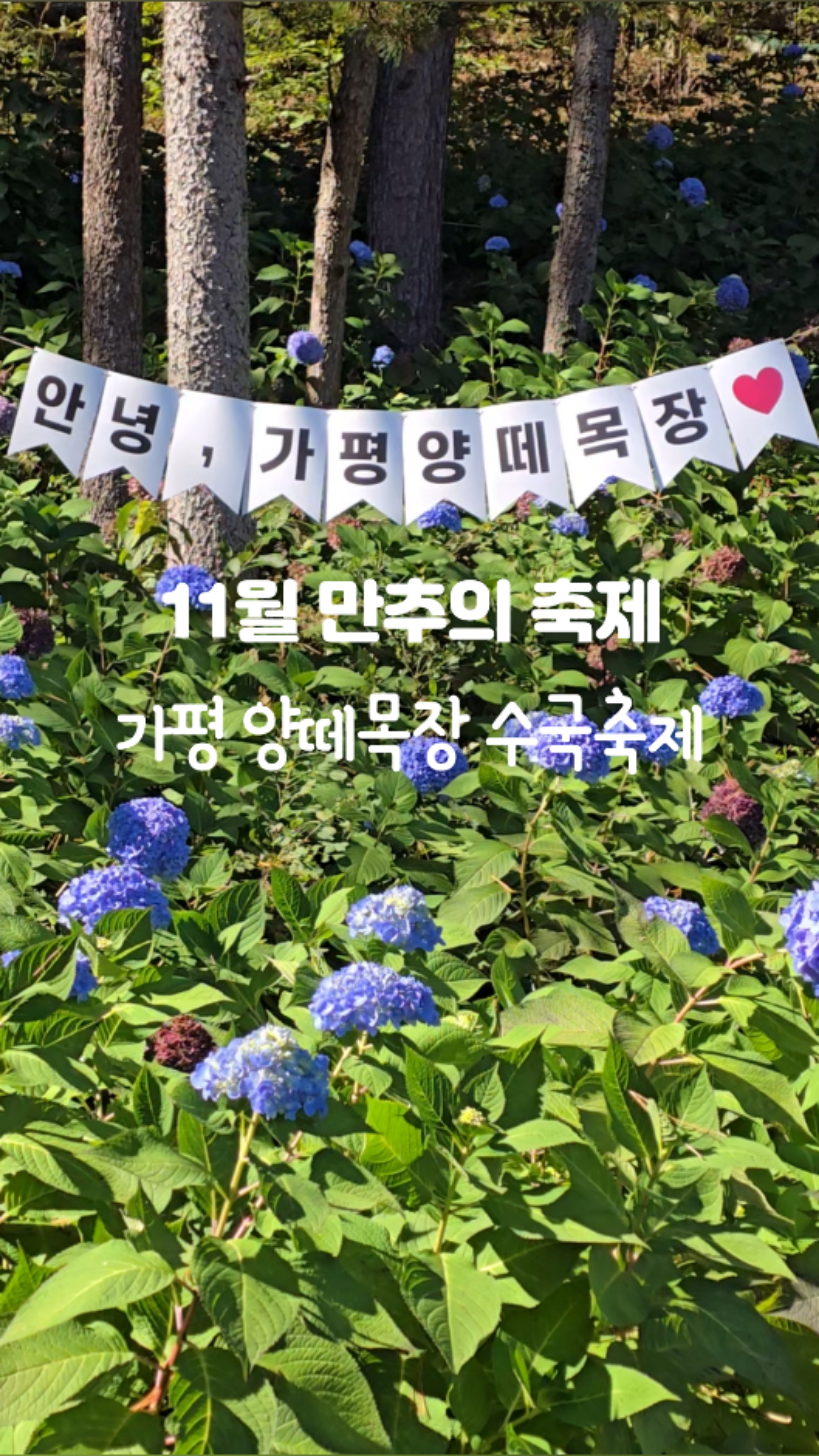 79f58778-662f-50d5-8790-2e297d6adbe8-5