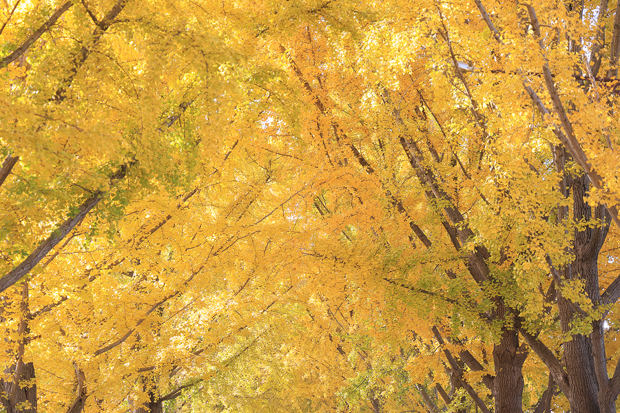 c4d14541-9604-5527-96d1-cfa46bd51c05-10