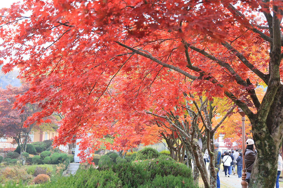 092a770d-64f7-50d7-a640-1daf4a73b456-0