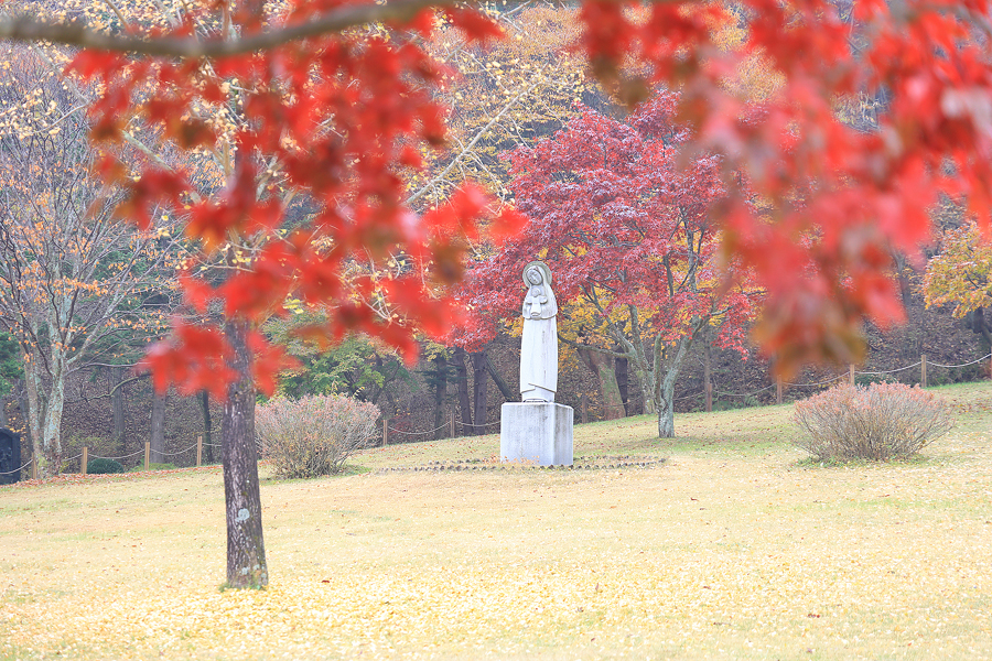 092a770d-64f7-50d7-a640-1daf4a73b456-4
