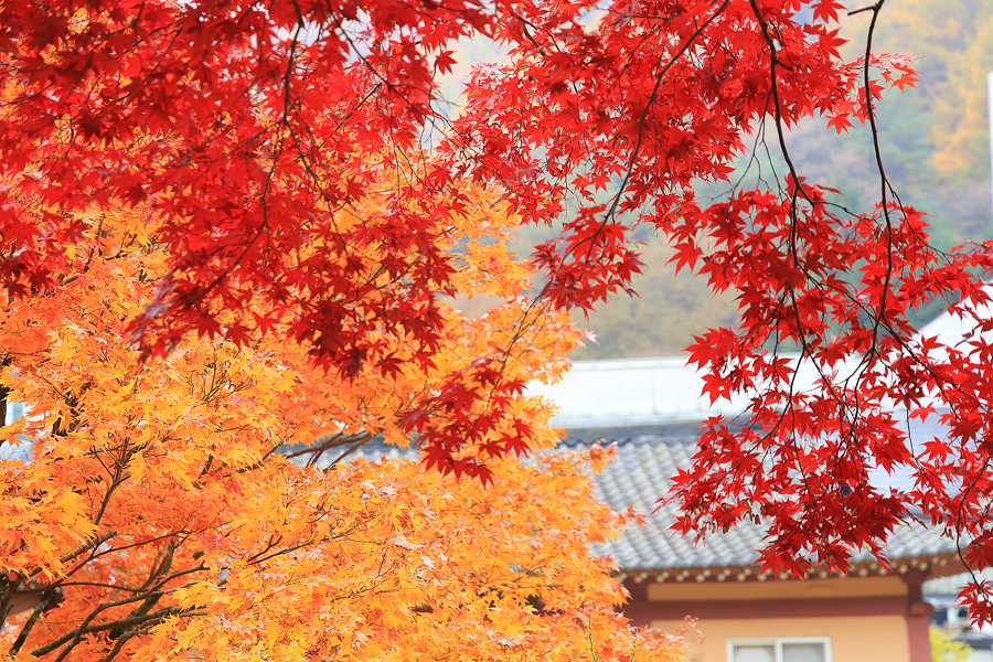 092a770d-64f7-50d7-a640-1daf4a73b456-9