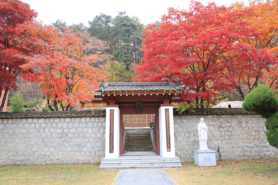 092a770d-64f7-50d7-a640-1daf4a73b456-11