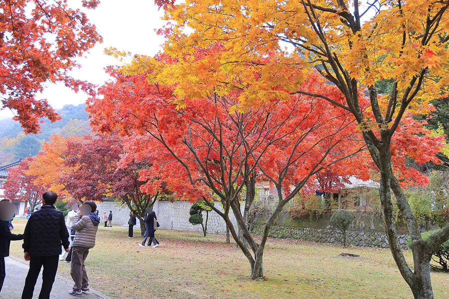092a770d-64f7-50d7-a640-1daf4a73b456-25