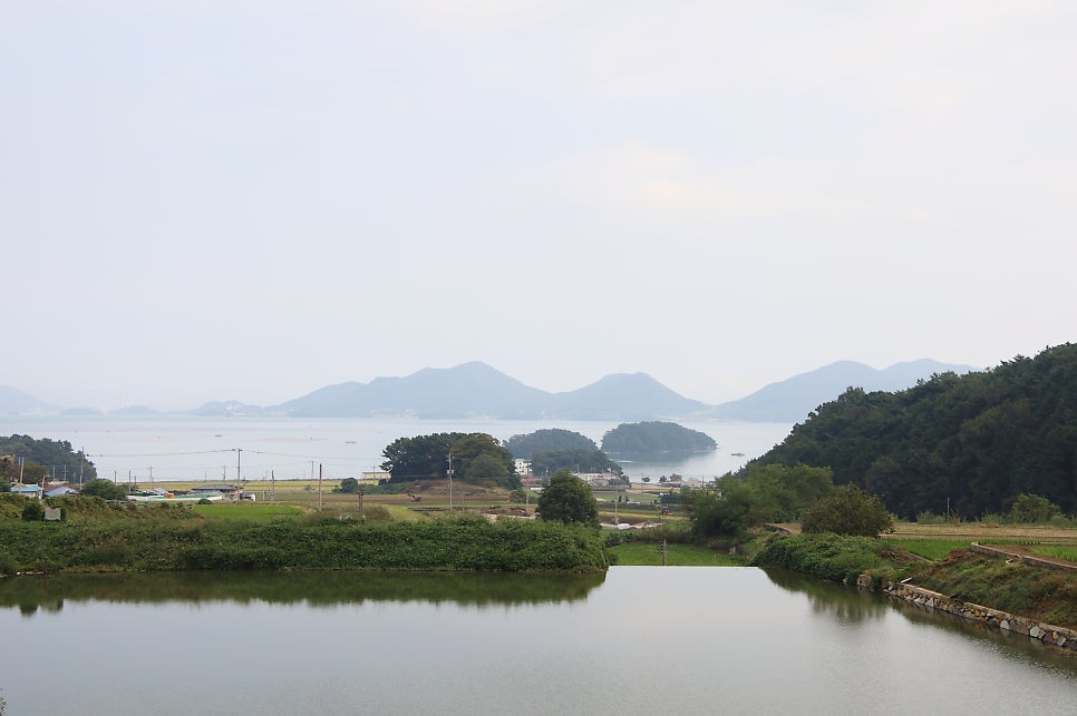 4d6b7659-4e6a-57df-ba84-ea83572ca7ac-28