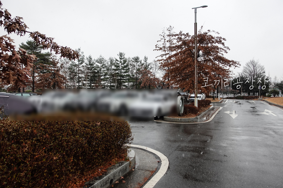 4e8986e0-3f2f-5206-9aca-9769fb2fd0f9-8