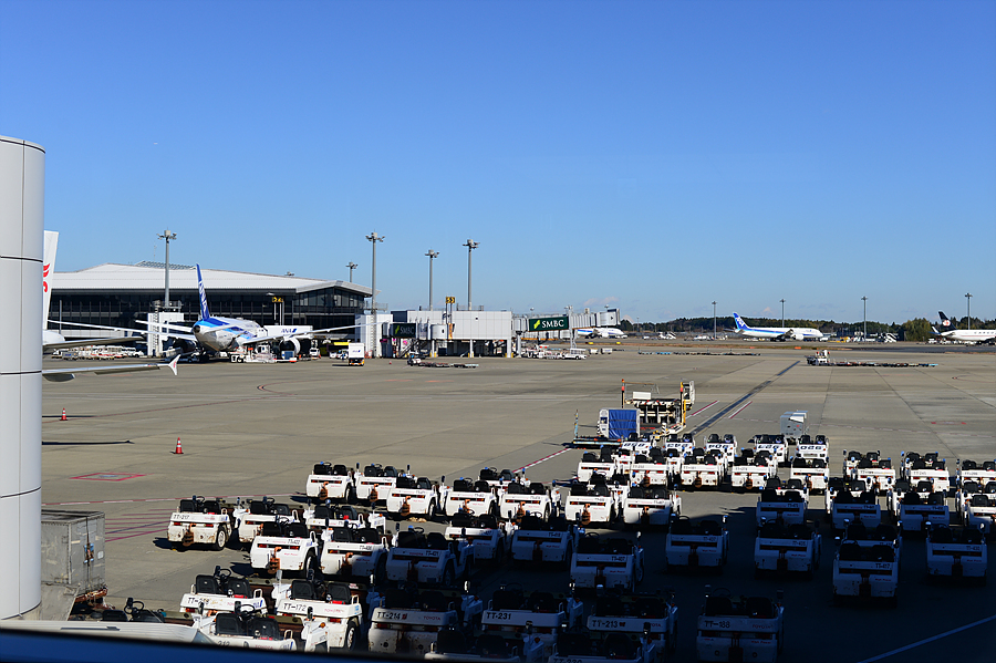 ff7453a5-ea96-57da-8c35-e7b87ba7a50c-0