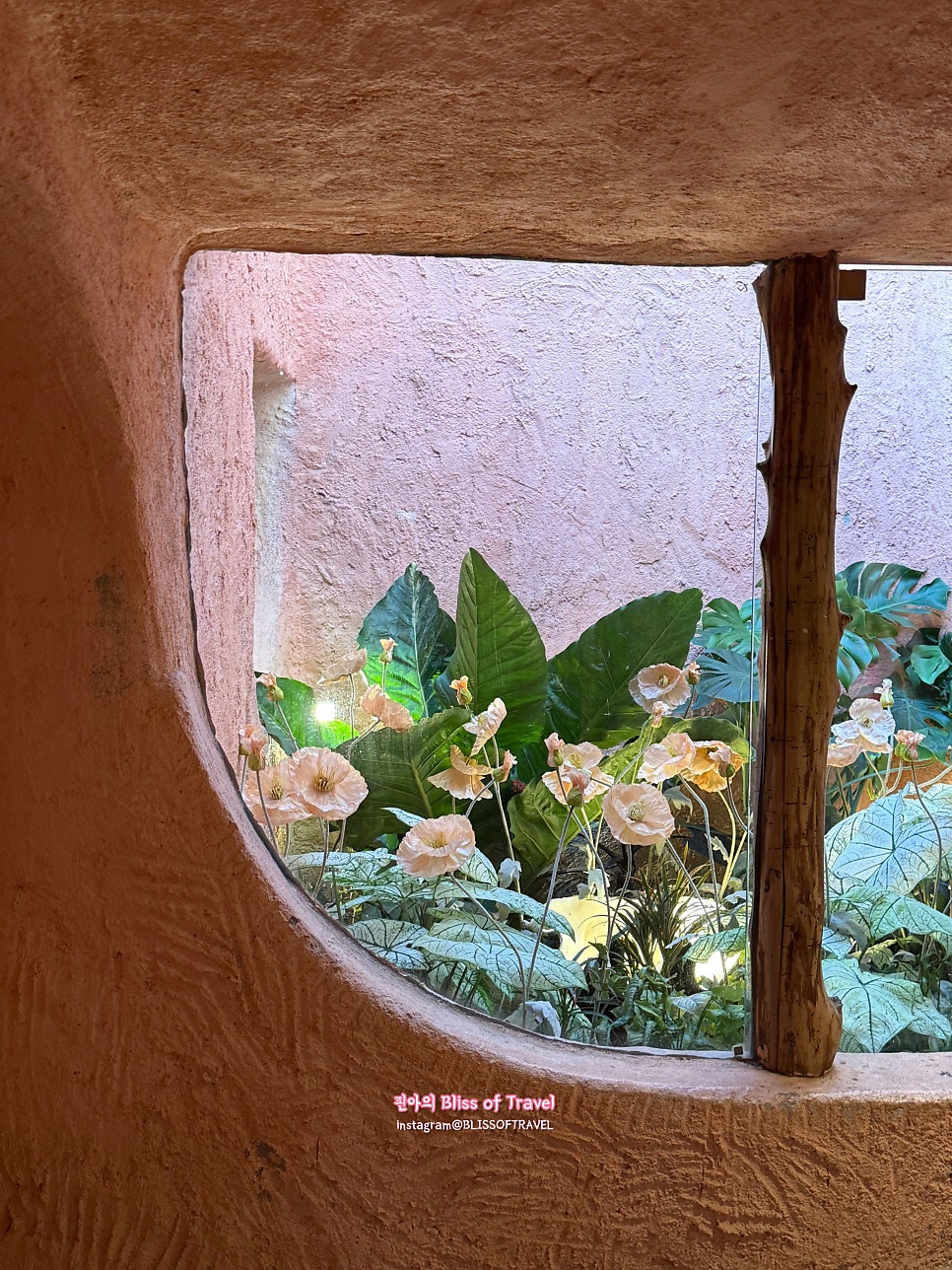 4770dcef-3d65-55db-b7a0-df013c37839f-6