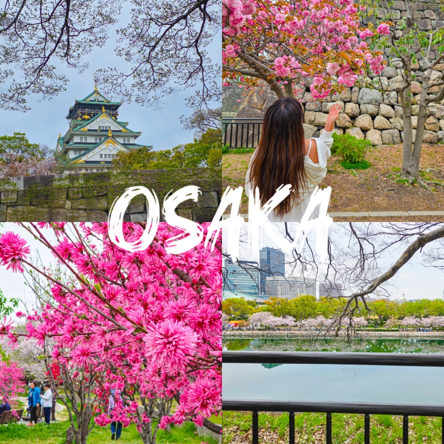 019d0cce-3021-73e2-b7b2-5ddce3057ee7-16