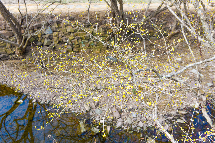 019d0dc8-fe45-7330-a735-f982821d0426-17